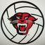Davenport Volleyball