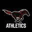 Edgewood Mustangs Athletics