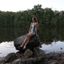 Emilie