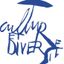 Fondation Culture & Diversité