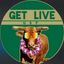 getliveusf
