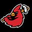 Hamilton Cardinals