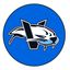 Victoria HarbourCats
