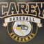 H Frank Carey Baseball