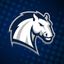 Hillsdale Chargers