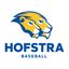 Hofstra Baseball