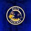 Delta Ice Hawks
