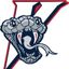 Lasalle Vipers Hockey Club