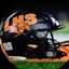 Libertyville Wildcat Football
