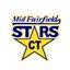 Mid Fairfield CT Stars
