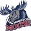 Minnesota Moose
