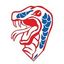 Florida Southern Ice Hockey