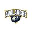 NJ Avs Organization