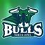 northiowabulls