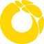 Oklahoma Visual Arts Coalition
