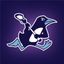 Penguins Select Lacrosse Club