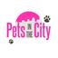 Pets in the City Hawaii