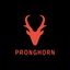 Pronghorn