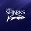 Sale Sharks
