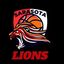 Sarasota Lions 🏀