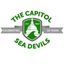 Sea Devil Swimming