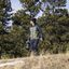 COLORADO PHOTOGRAPHER