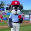 Slugger The Sea Dog