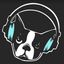 Snarky Puppy