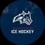 Stony Brook Ice Hockey