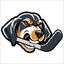 Tennessee Women’s Hockey