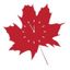 The Maple Minute