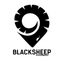 Black Sheep Performance