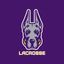 UAlbany Men's Lacrosse