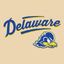 Delaware Hockey AAU Division 1