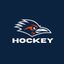 UTSA Ice Hockey