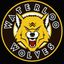 Waterloo Wolves U16 AAA