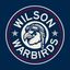 Warbirds