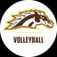 Western Michigan Volleyball