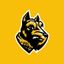 Wooster Fighting Scots