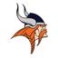 wvcvikings