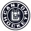 Canton Women’s Hockey