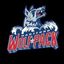 hartfordwolfpack