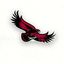 Saint Joseph’s Athletics