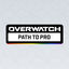 Overwatch Path to Pro