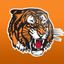 Medicine Hat Tigers