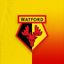 Watford Football Club