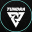 Tundra Esports - Dota 2