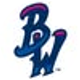 Pensacola Blue Wahoos