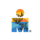 IRONMAN World Championship | Kailua-Kona HI