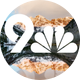 9NEWS
